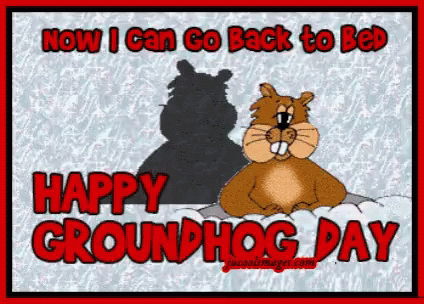 Groundhog Day GIF - Groundhog Day GIFs