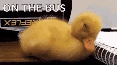 a baby duck is sleeping on a notebook on a table .
