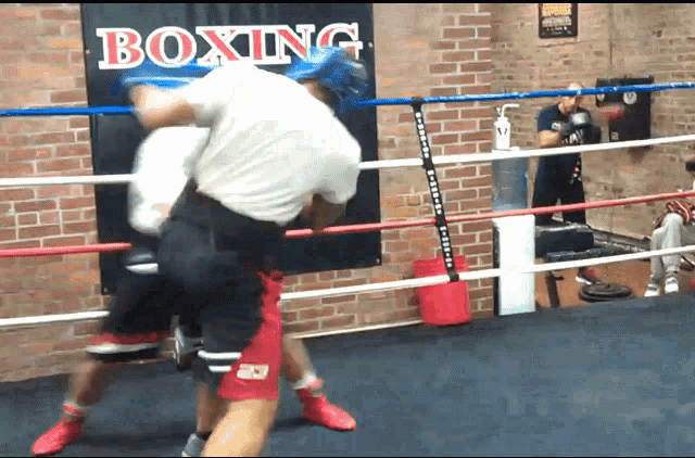 Fight Boxing GIF - Fight Boxing Sparring GIFs