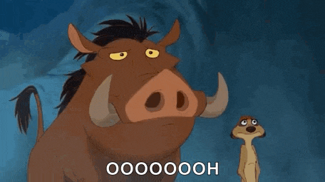 a cartoon warthog and meerkat are standing next to each other .