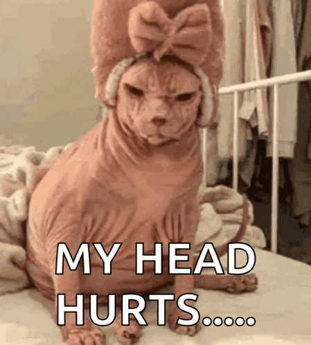 a hairless cat wearing a pink hat and headphones says my head hurts .