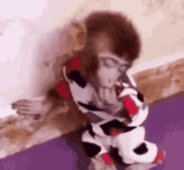 a monkey is sitting on a purple mat and eating a piece of toilet paper .