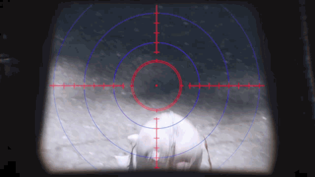 a red and blue target with a circle in the center