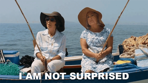 I Am Not Surprised Thiea Voula GIF - I Am Not Surprised Thiea Voula My Big Fat Greek Wedding 3 GIFs