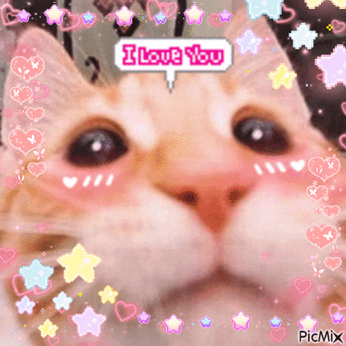 a cat with a speech bubble that says i love you on it