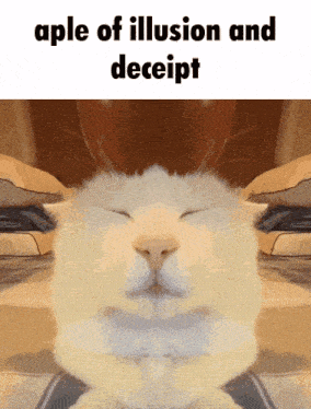 a picture of a cat with the words aple of illusion and decept
