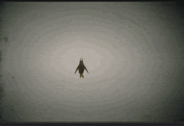 a silhouette of a person is flying in the air
