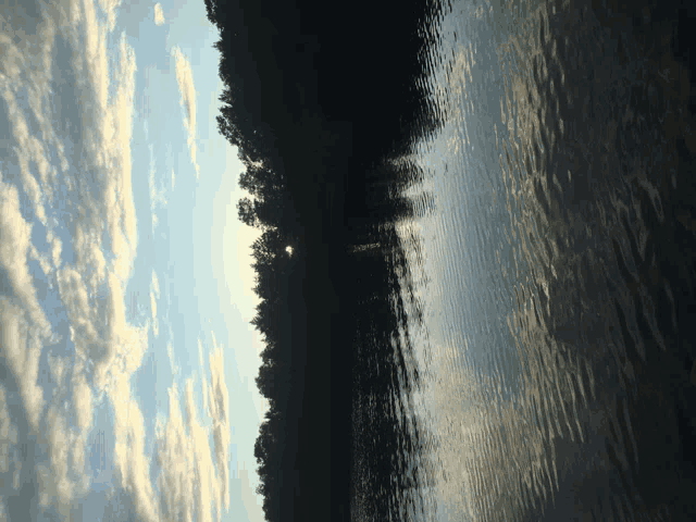 a lake with trees on the shore and a cloudy sky