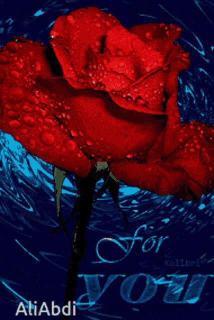 a red rose with water drops on it and the words " for you " below it
