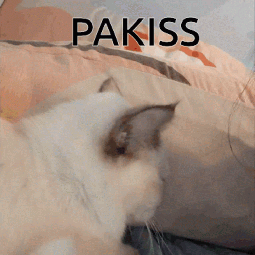 Kiss Ni Chami Kiss GIF - Kiss Ni Chami Kiss Pakiss GIFs