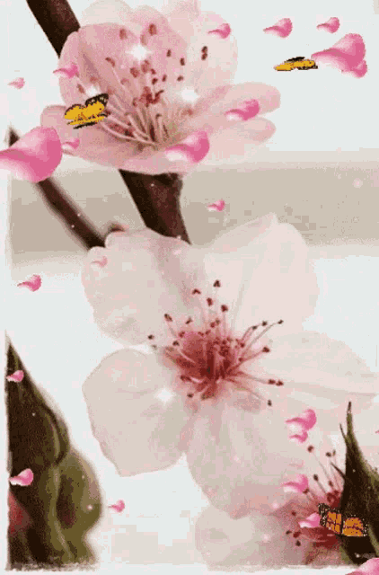 Sakura Fly Pink Flower GIF - Sakura Fly Pink Flower GIFs