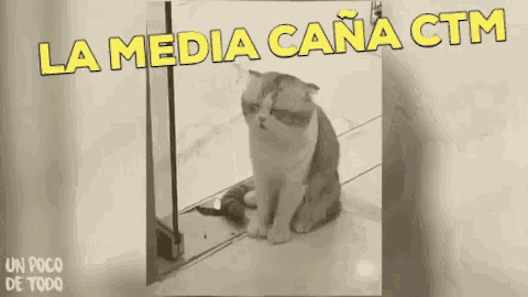a cat is sitting on a tiled floor with the caption la media cana ctm