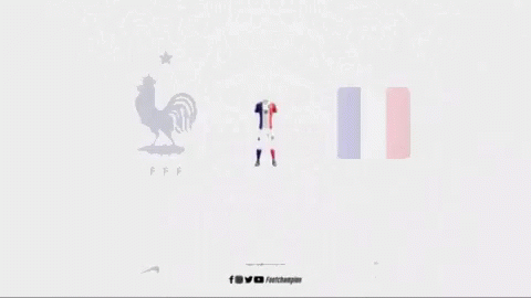 France World Cup GIF - France World Cup GIFs