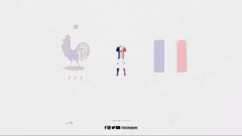 a france world cup flag kit with a rooster on it