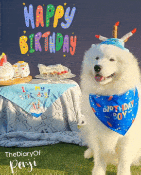 a white dog wearing a blue bandana that says " birthday boy "