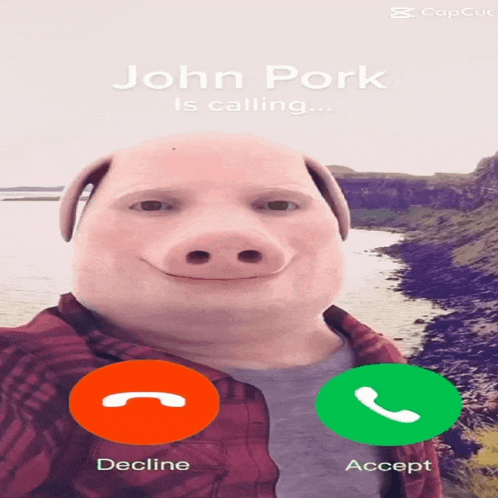 a phone screen that says john pork is calling decline and accept