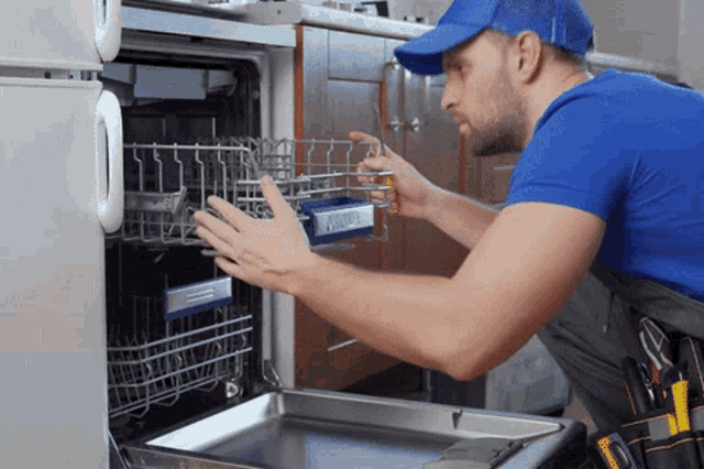 Dishwasher Repair Appliances GIF - Dishwasher Repair Appliances Appliance Repair GIFs
