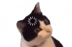 a black and white cat is looking at the camera with a loading screen on its head .