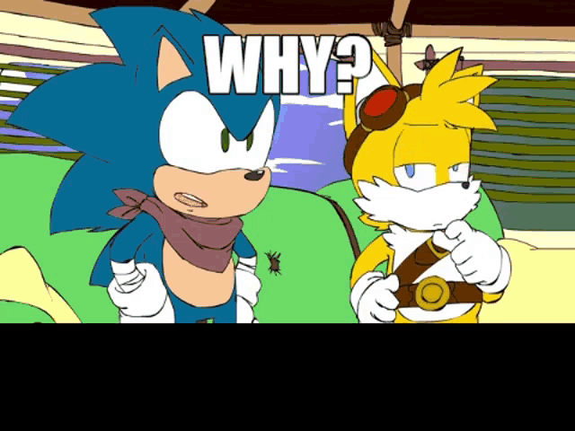a cartoon of sonic the hedgehog and tails the fox asking the question why