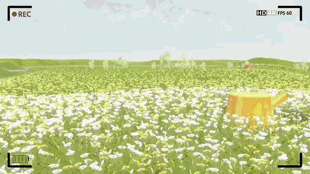 a girl in a white dress stands in a field of daisies with a hd 4k fps 60 recording