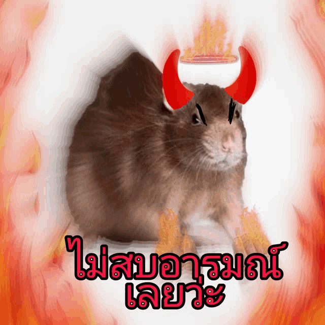 a picture of a rat with devil horns and the words in a different language