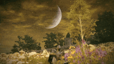 a man stands in a field of flowers with a crescent moon in the background