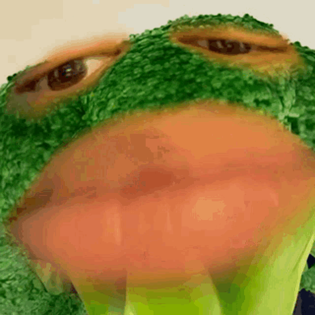 a close up of a stuffed frog 's face with eyes