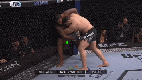 two men are fighting in a ufc ring with the scoreboard showing abdelwahab is winning