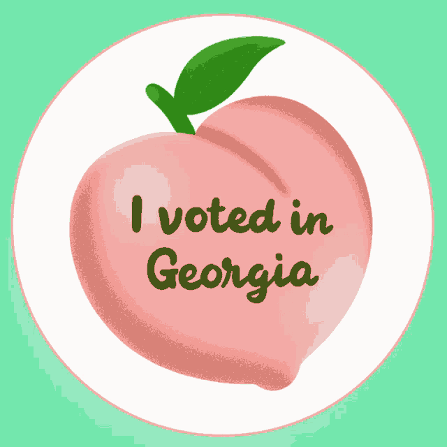 I Voted In Georgia Go Vote GIF - I Voted In Georgia Go Vote Go Vote Georgia GIFs