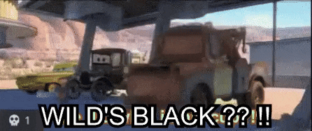 a cartoon scene with the words wild 's black on the bottom