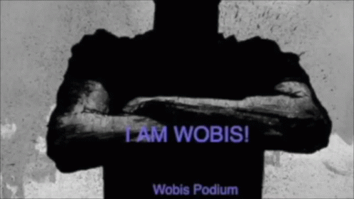 Wobis GIF - Wobis GIFs
