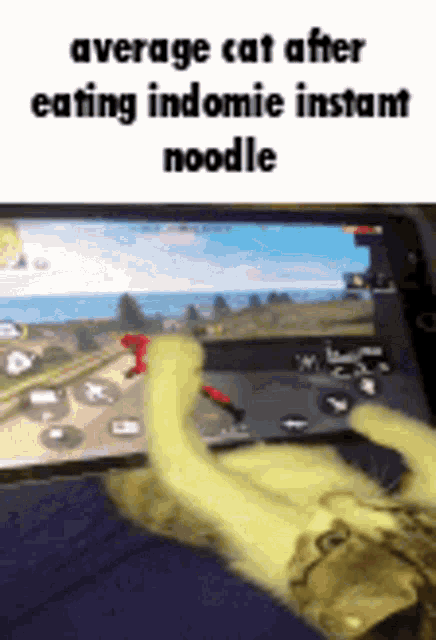 a cat is playing a video game on a tablet and eating instant noodle .