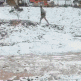a man is carrying a christmas tree down the road