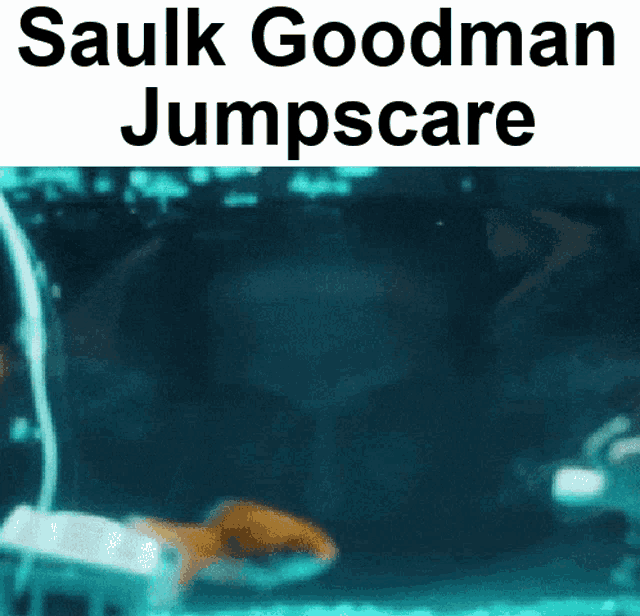 a poster for sauik goodman jumpscare shows a fish in the water