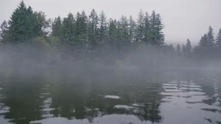 Grimm - Coming Out Of The Water GIF - Grimm Nbc Scary GIFs