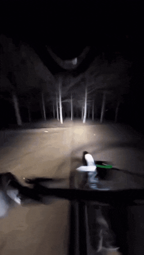 a person riding a scooter in a dark forest