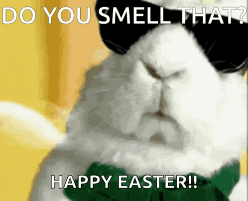 a white rabbit wearing sunglasses and a green bow tie says " do you smell that "