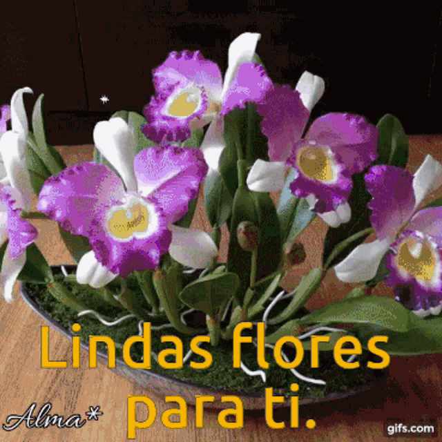 Lindas Flores Para Ti GIF - Lindas Flores Para Ti Beautiful Flowers GIFs