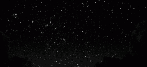 a night sky filled with lots of stars and snow falling .