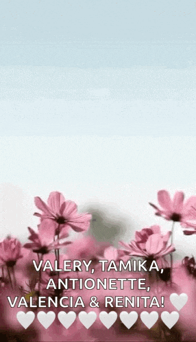a bunch of pink flowers with the words valery , tamika , antionette , valencia & renita written on them