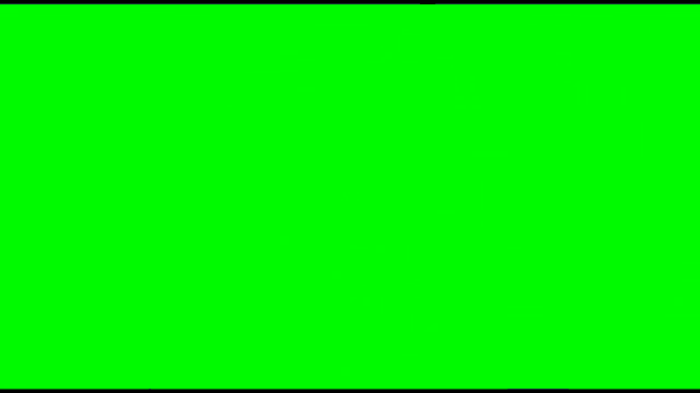 shinyl is written in orange on a blue background