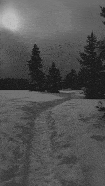 a black and white photo of a path in the snow