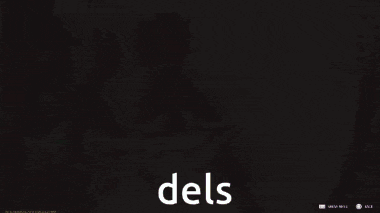 a screenshot of a video game that says dels on the bottom