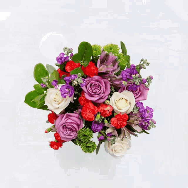 a bouquet of purple and red flowers with green leaves
