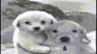 a black and white photo of two puppies with te extraño lolo written in purple