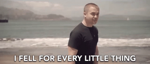 I Fell For Every Little Thing I Love Every Little Thing You Do GIF - I Fell For Every Little Thing I Love Every Little Thing You Do I Believed Every Thing GIFs