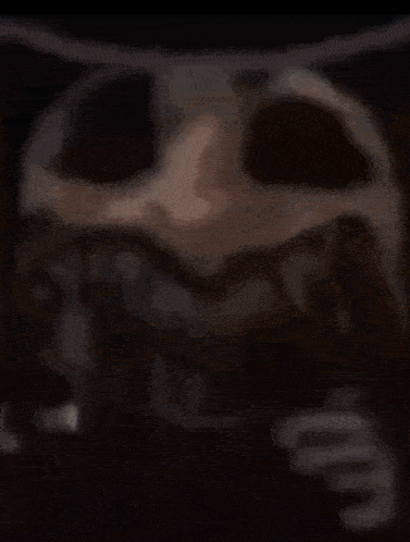 a close up of a skull with big eyes
