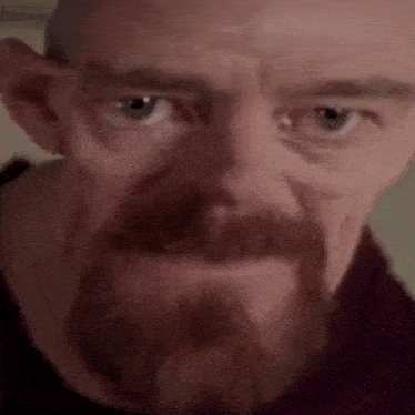 a close up of a man with a beard looking at the camera .