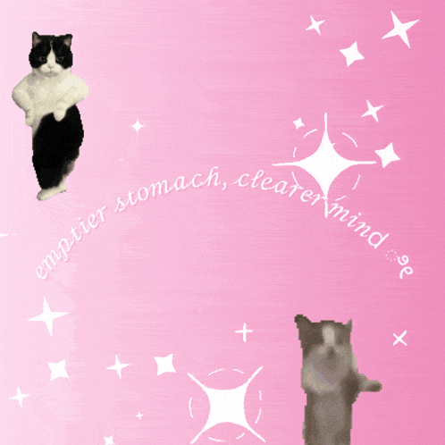 a pink background with two cats and the words emptier stomach clearer mind on it