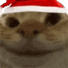 the cat is wearing a santa hat and smiling .